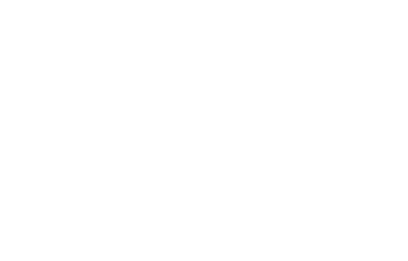Logo pequena da loja de carnes Dom Hygino
